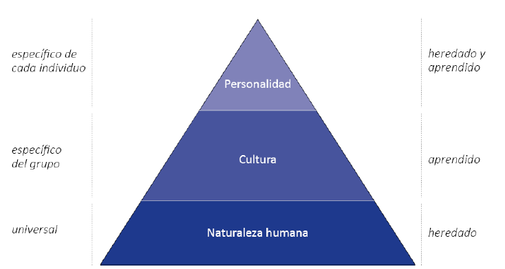Figure 1. Three singularity levels in mental programming