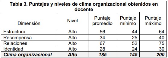Puntajes y niveles de clima organizacional obtenidos en docente