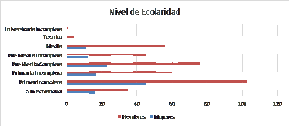  Nivel de escolaridad. 