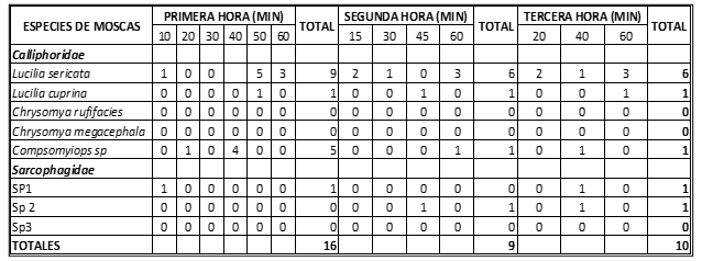 Especies registradas en el hígado humano
expuesto a las 24 horas de haber sido extraído del cadáver