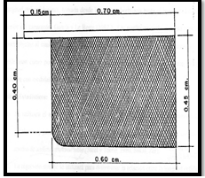 Red de postlarvas tipo “Chayo”
