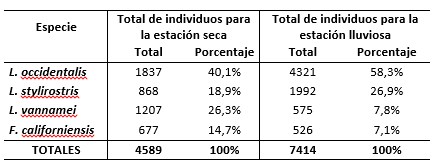 Porcentaje de postlarvas
colectados durante la estación seca y la estación lluviosa