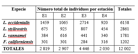 Número total de individuos de cada especie (L.
occidentalis, L. stylirostris, L. vannamei, F. californiensis) para cada
estación.
