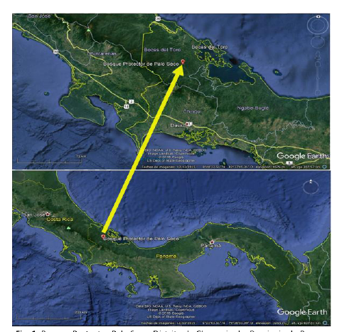 Bosque Protector Palo Seco, Distrito de Changuinola, Provincia de Bocas del Toro, Panamá, coordenadas UTM 17P 0368943 N y 0970737; altitud de 775 msnm