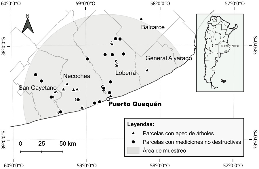 Área de estudio de 100 km de radio, con centro en el Puerto de Quequén,
definida para el establecimiento de parcelas y muestreo de ejemplares de E. globulus
en macizos (superficie total abarcada: 1587 km2).