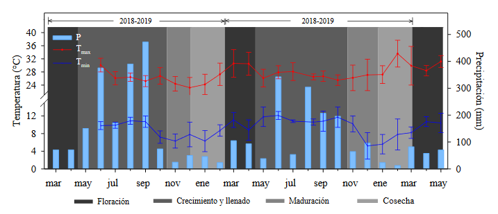 Figura
1. Distribución
mensual de la precipitación (P), temperatura máxima (Tmax), mínima (Tmin) y
durante el los ciclos productivos 2017-2018 y 2018-2019