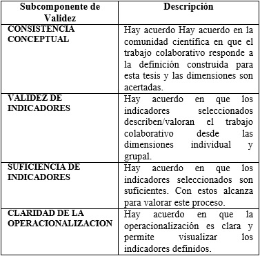 Componentes de la
evaluación de validez mediante el Juicio de Expertos