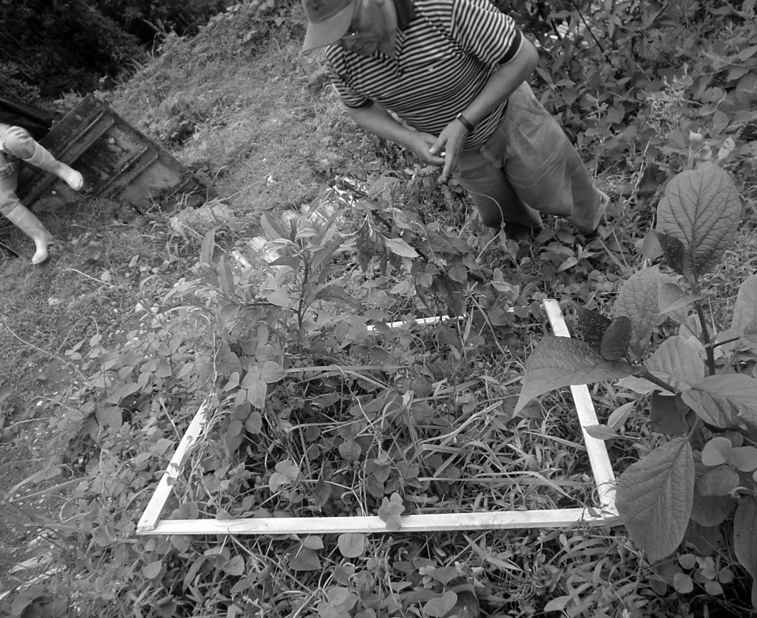 &Aacute;rea
M&iacute;nima, conteo e identificaci&oacute;n.