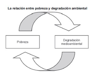 La relación entre pobreza y
degradación ambiental