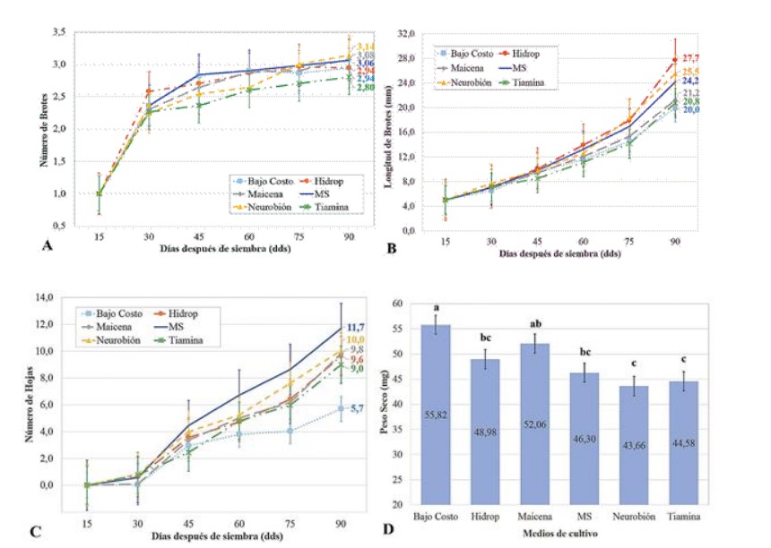 Crecimiento obtenido en el cultivo in vitro de raicilla en diferentes medios con sustituci&oacute;n de insumos.