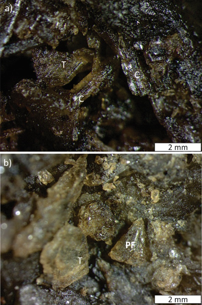 Aspecto de
los cristales identificados en las incrustaciones (bajo lupa binocular)