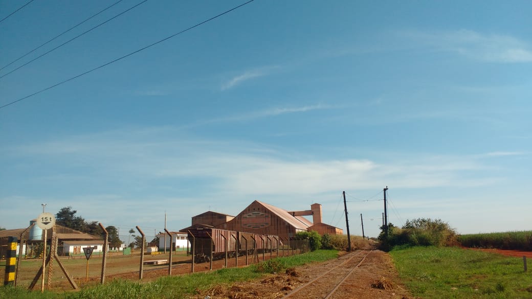 Cultivo de
cana-de-açúcar próximo à sede urbana do município de Canitar-SP, 2018