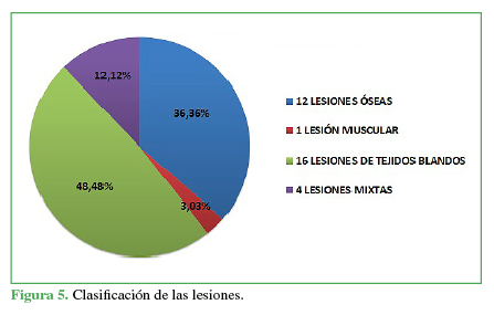 Clasificaci&oacute;n de las lesiones