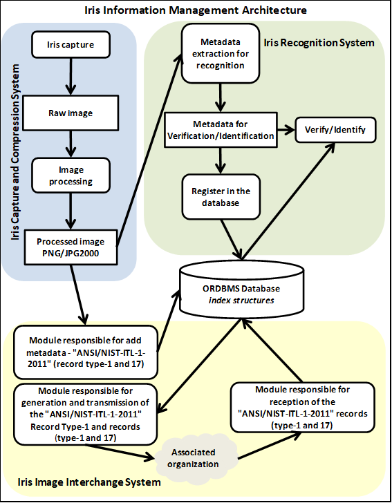  Iris Information Management Architecture.