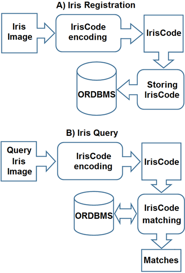 A) Iris registration pipeline; B) Iris Query pipeline.