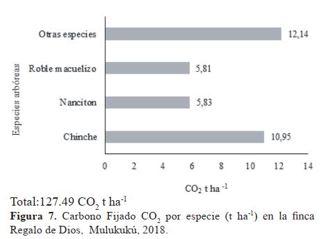 Carbono Fijado CO2 por especie (t ha-1) en la finca Regalo de Dios, Mulukukú, 2018.