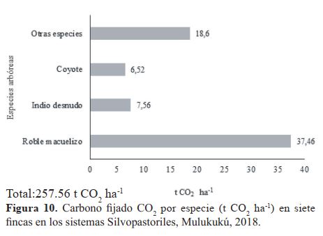 Carbono fijado CO2 por especie (t CO2 ha-1) en siete fincas en los sistemas Silvopastoriles, Mulukukú, 2018.