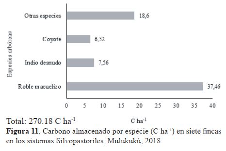 Carbono almacenado por especie (C ha-1) en siete fincas en los sistemas Silvopastoriles, Mulukukú, 2018.