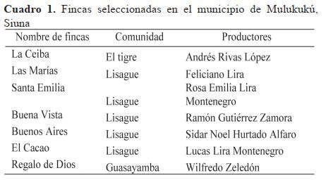 Fincas seleccionadas en el municipio de Mulukukú, Siuna
