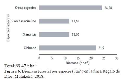 Biomasa forestal por especie (t ha-1) en la finca Regalo de Dios, Mulukukú, 2018.
