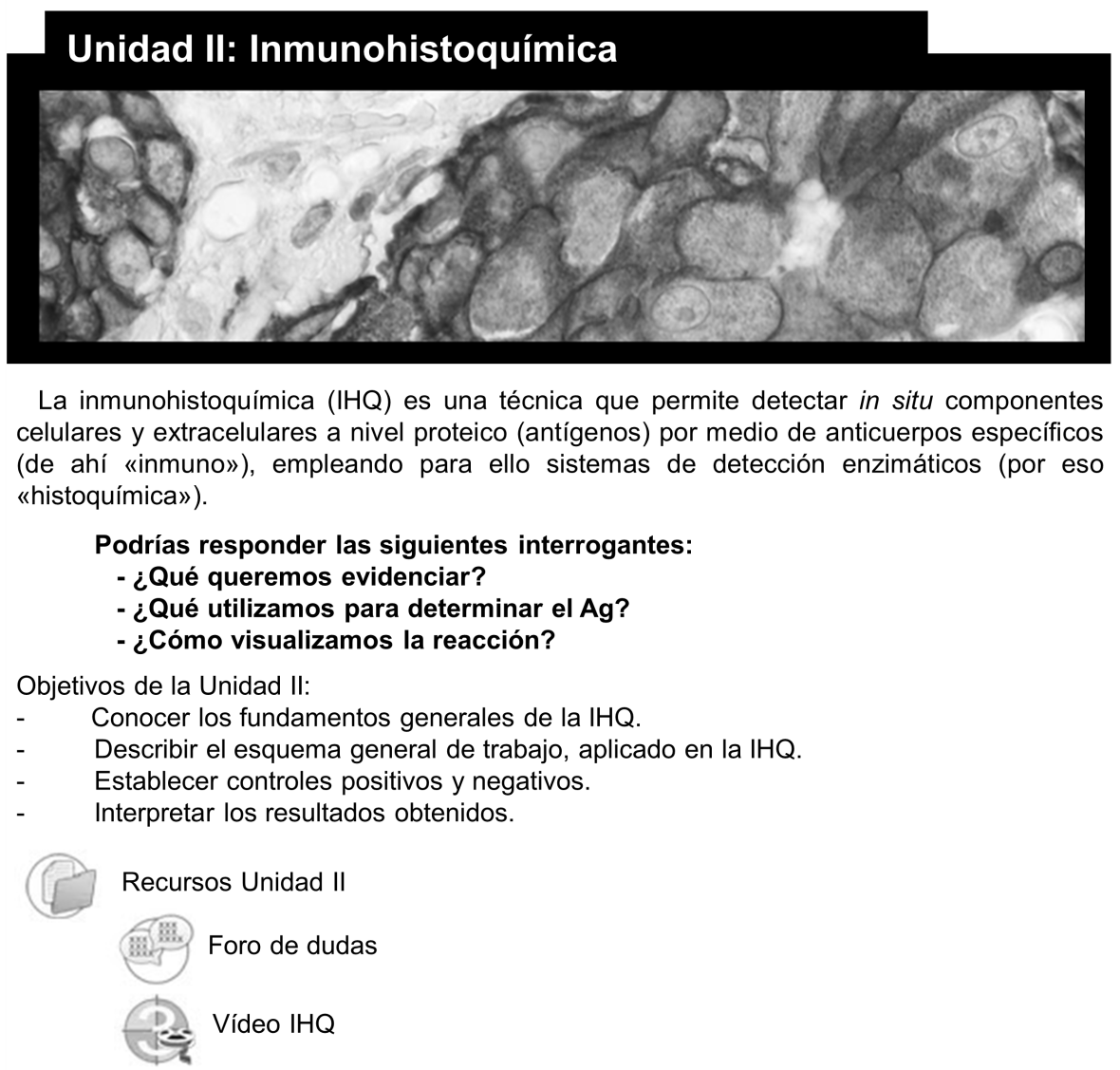 Diseño de la Unidad II: Inmunohistoquímica, disponible en al aula virtual de la asignatura “Histotecnología III”