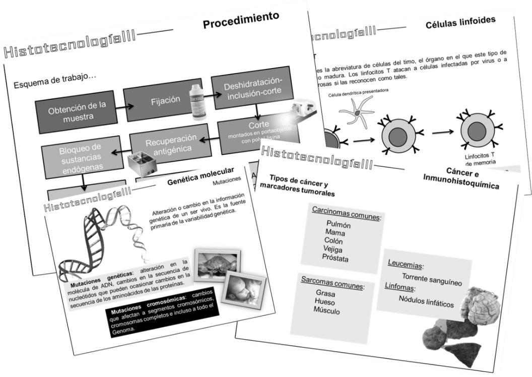Imagen de la digitalización de clases presenciales mediante power point, disponible en la carpeta de recursos según unidad de aprendizaje