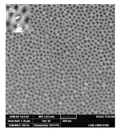 Imagen SEM (1200 nm
x 1200nm) de muestras anodizadas de Al durante 4 horas (Al 99.95%). 

 