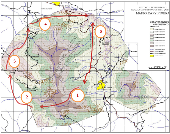 Mapa
topográfico hipsométrico de los Bosques nubosos situados en Área Protegida –
Biotopo del Quetzal, Baja Verapaz, Guatemala. Las líneas rojas señalan los
transectos. 