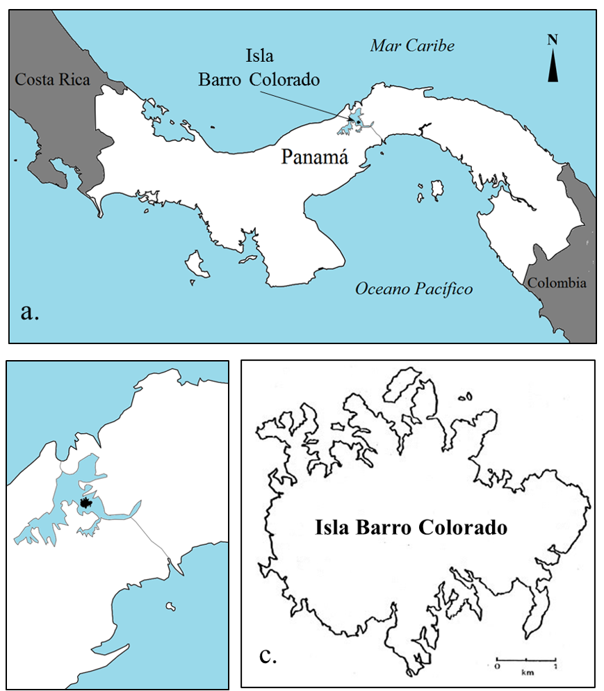 Ubicaci&oacute;n de la Isla Barro Colorado. a, ubicaci&oacute;n en la Rep&uacute;blica de
  Panam&aacute;; b, ubicaci&oacute;n en el &Aacute;rea del Canal de Panam&aacute;; c, &aacute;rea de la isla