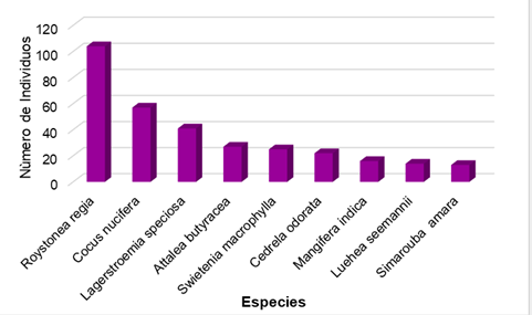 Especies más representativas
  según el número de individuos en las comunidades de Margarita,
  Espinar y Davis. Fuente. Elaboración propia. (2019)