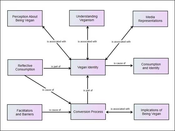 Resulting model from the integration of results