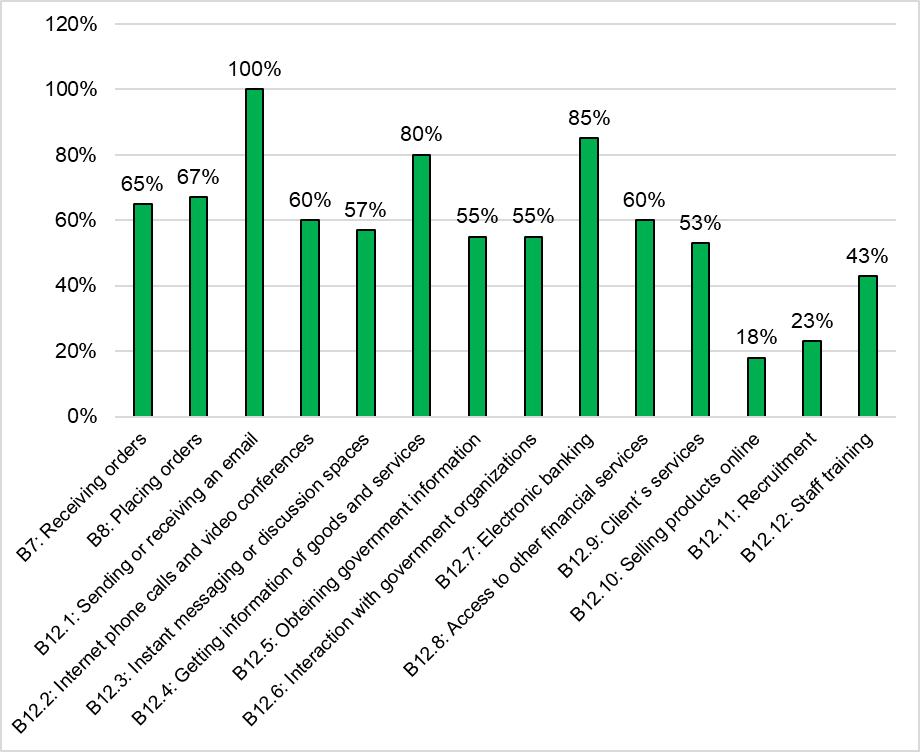 Internet usage indicators by activity