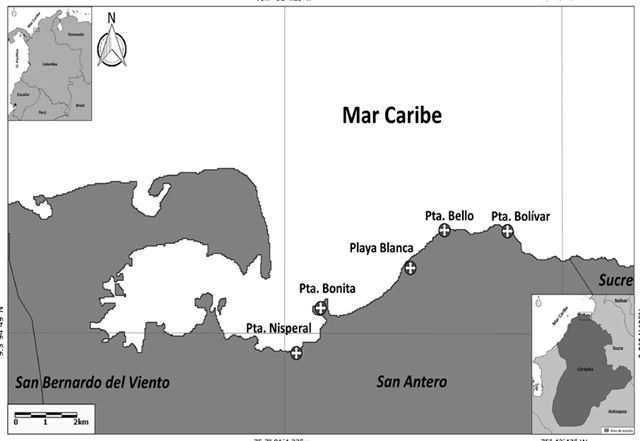 Área
de estudio y localización de los fragmentos de bosque de manglar en la línea de
costa del municipio de San Antero