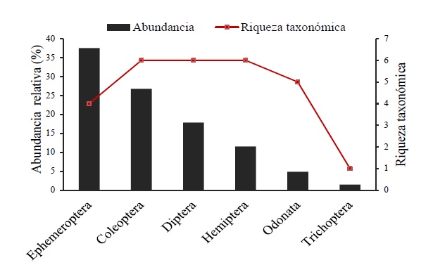 Figura 2. Abundancia relativa
y riqueza taxonómica por órdenes de insectos acuáticos asociados a E. azurea.