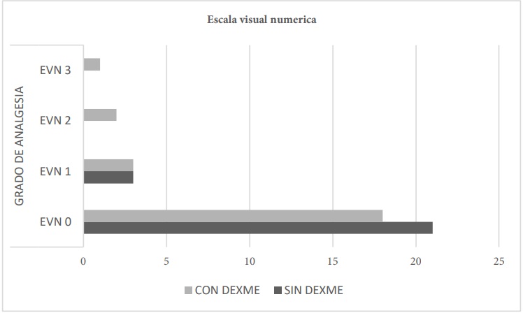 Evaluación de la escala visual numérica (EVN) 