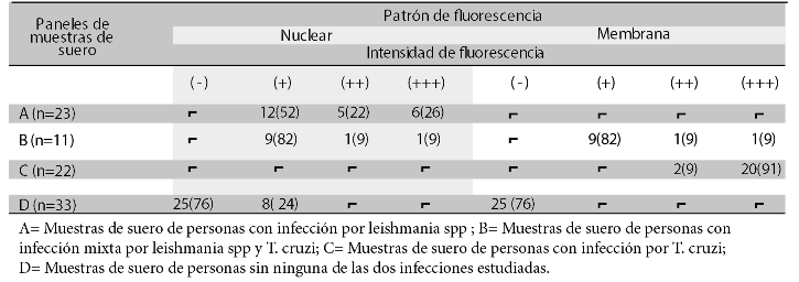 Muestras de sueros según el patrón
de fluorescencia que producen con epimastigotes de Trypanosoma cruzi.

Datos expresados en frecuencia (%). 