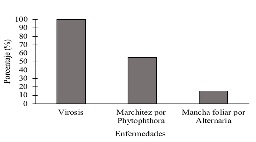 

Figura 5 Tipo de manejo de
malezas más empleado en el cultivo