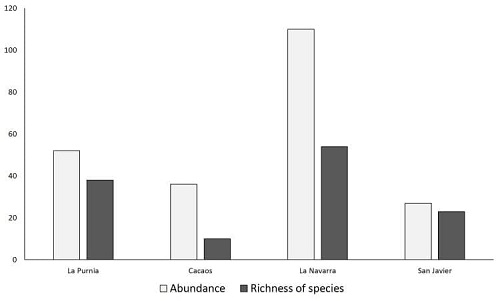 Abundance and richness of species in the sampling places.