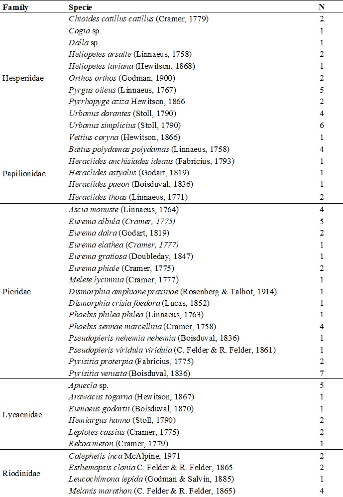 List of species of butterflies and categories. N: Total abundance, CT: Category. A: Abundant, C: Common, E: Scarce, R: Rare