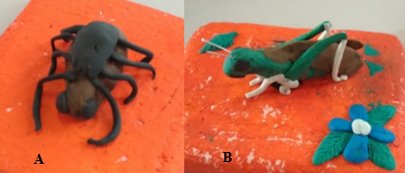 Modelos didáticos construídos pelos
estudantes. Representantes: Carrapato (A) e
Gafanhoto (B)