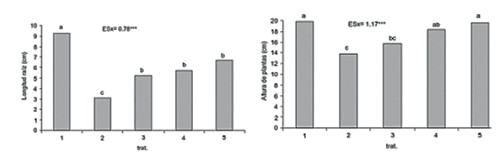 Influencia del
tratamiento a las semillas con oligogalacturónidos en
el crecimiento de plantas de tomate sometidas a estrés por Cu2+. T1-Imbibición en agua y crecimiento en suelo sin contaminar, T2-Imbibición en agua y crecimiento en suelo contaminado, T3, T4, T5- Imbibición en oligogalacturónidos 10, 20 y 30 mg L-1, respectivamente y crecimiento en suelo contaminado.