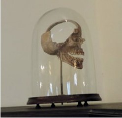 Pieza del antiguo museo de la Academia. 