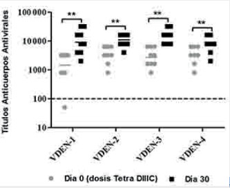 Respuesta de anticuerpos antivirales. 