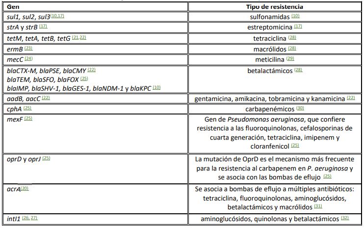 Genes de resistencia
que se han identificado en la Antártida, con diversos antibióticos como betalactámicos, aminoglucósidos, macrólidos, sulfonamidas y fluoroquinolonas