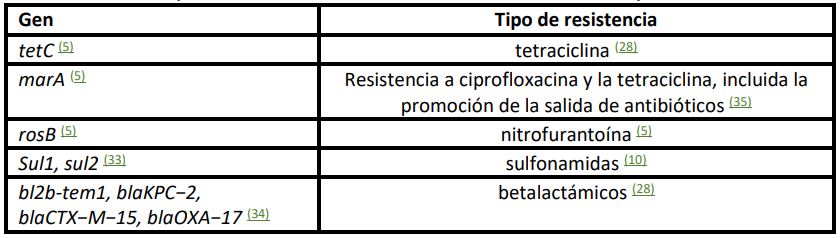 Genes de resistencia
que se han identificado en el océano, con diversos antibióticos como la tetraciclina, ciprofloxacina, nitrofurantoína, sulfonamidas y betalactámicos