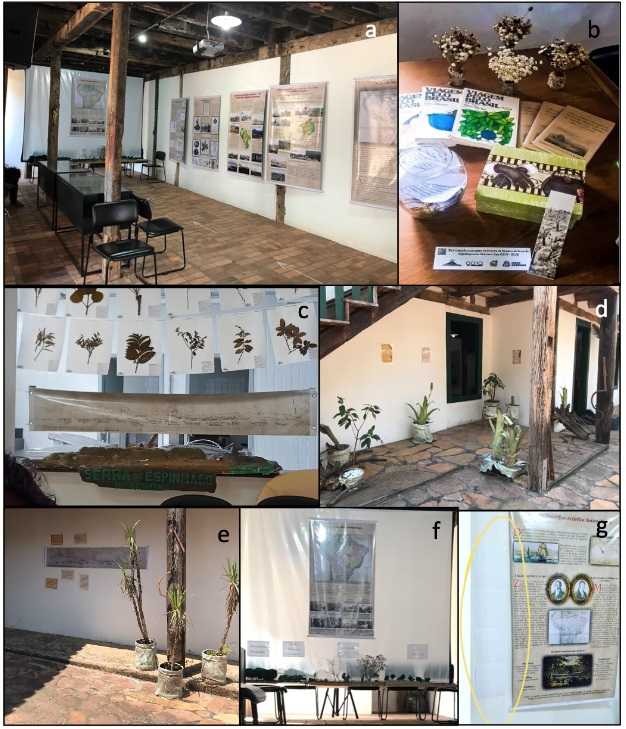 Figura 2. Fotografias de momentos de montagem da exposi&ccedil;&atilde;o
cultural que contou com a) ambiente interno da exposi&ccedil;&atilde;o b) material de apoio -
Viagem ao Brasil, livreto da exposi&ccedil;&atilde;o, marcadores de texto do site da
exposi&ccedil;&atilde;o; c) exsicatas de esp&eacute;cies descritas por Martius; d, e) ambiente
externo com plantas end&ecirc;micas descritas por Martius; f) maquetes dos biomas
brasileiros; g) textos em Braille acompanhando textos dos banners.