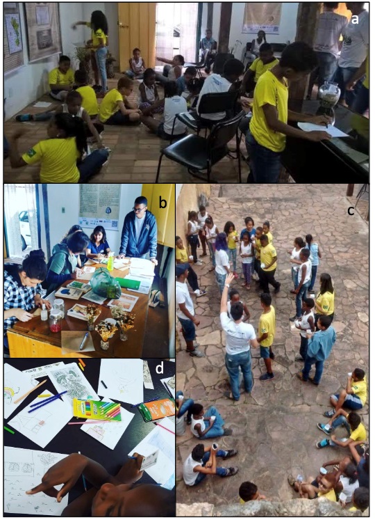 Figura 4. Momentos de pr&aacute;ticas de Educa&ccedil;&atilde;o Ambiental. a)
Momentos de reconhecimento de iconografias de Martius; b, c) Explana&ccedil;&atilde;o sobre a
confec&ccedil;&atilde;o dos vasos com sementes de esp&eacute;cies do Cerrado; d) Momentos de
desenhos realizados pelos visitantes