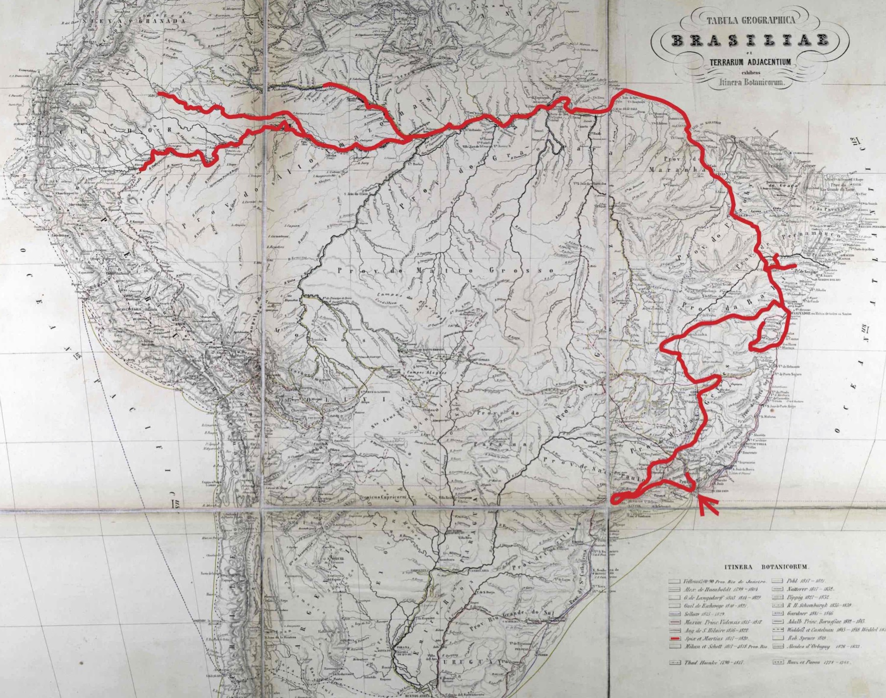Figura
1. Itiner&aacute;rio (em
vermelho) da Miss&atilde;o Cient&iacute;fico-Art&iacute;stica
Austro-alem&atilde; pelo Brasil, de 1817 a 1820