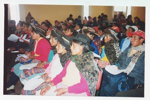 POR UN MAÑANA MEJOR CAPACITACIÓN DE LAS MUJERES CAMPESINAS,
YAULI – HUANCAVELICA