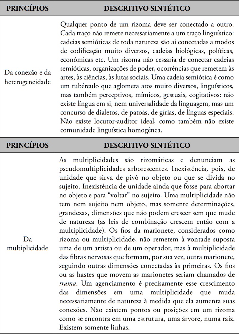 Características aproximativas de um rizoma.